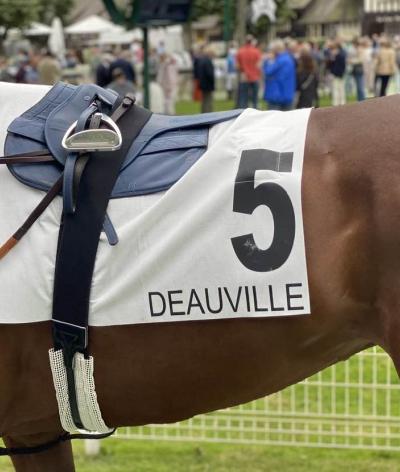 L'Hippodrome de Deauville la Touques, dans le Calvados, renouvelle sa labellisation en passant échelon Progression !